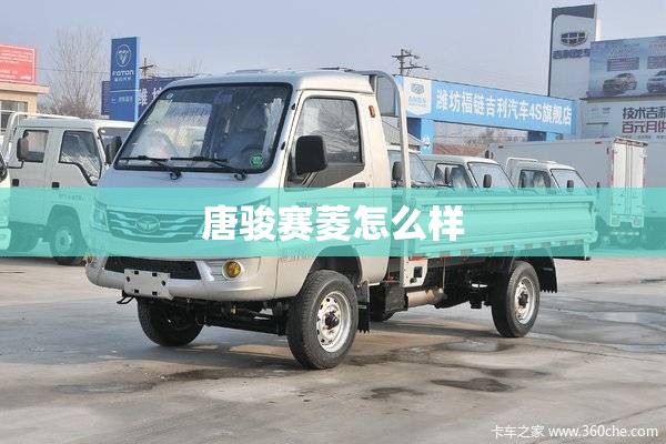唐骏赛菱怎么样 唐骏赛菱怎么样