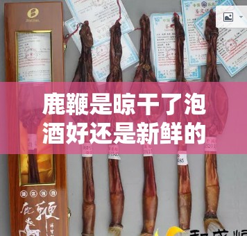 鹿鞭是晾干了泡酒好还是新鲜的泡酒好 鹿鞭是晾干了泡酒好还是新鲜的泡酒好