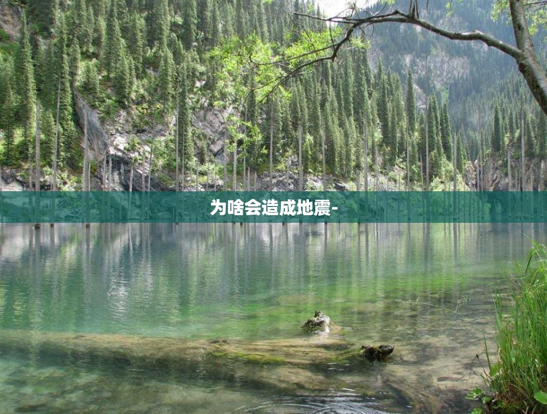 雪铁龙C3L车质量怎样？