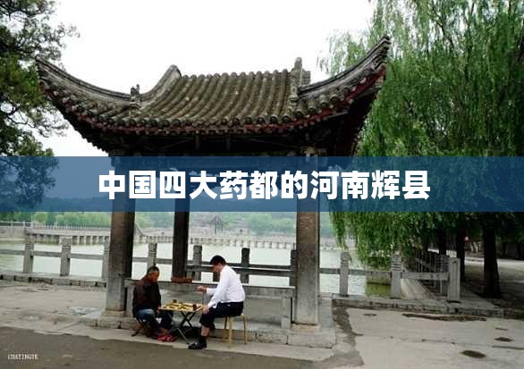中国四大药都的河南辉县