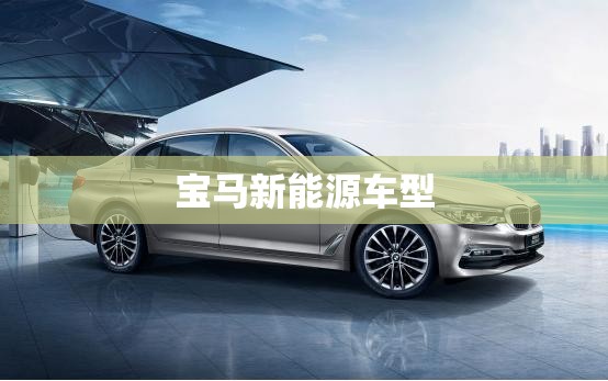 宝马新能源车型 宝马新能源车型