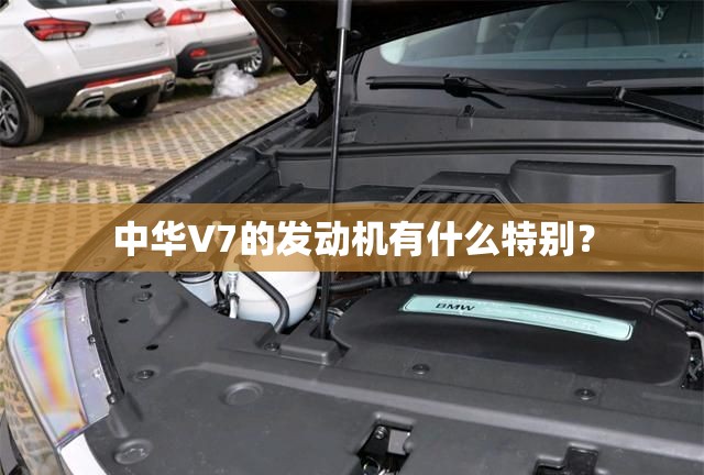 贵州草海自助游介绍贵州草海好玩吗
