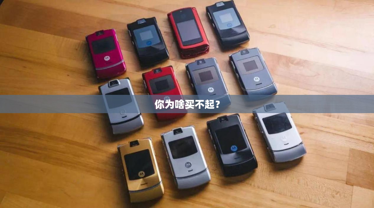 宁波慈溪的未来天气预报最多能查几天（至少一周）
