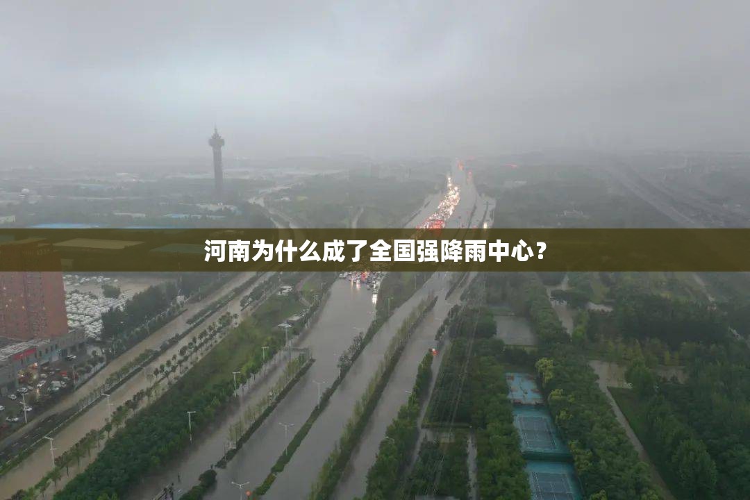 nv200为什么比别的车贵