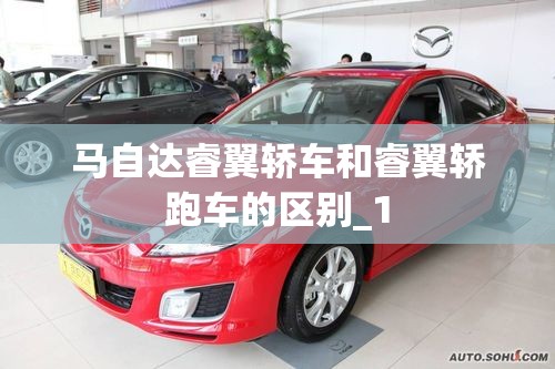 9615号台风的前言
