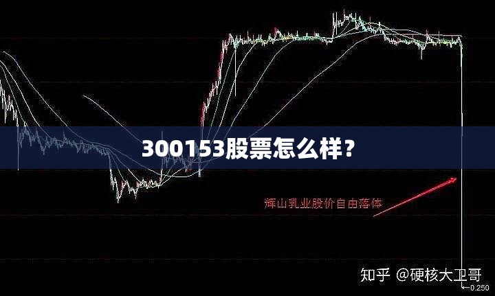 中国十大名牌冰柜有哪些牌子