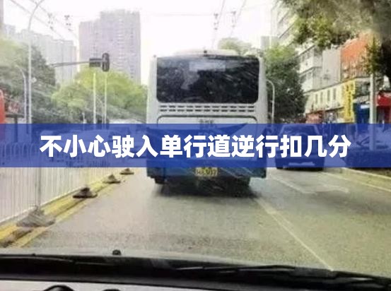 不小心驶入单行道逆行扣几分 不小心驶入单行道逆行扣几分