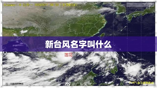 80岁老人最建议买的推车
