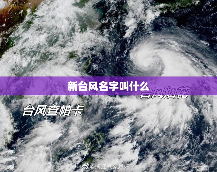 新台风名字叫什么