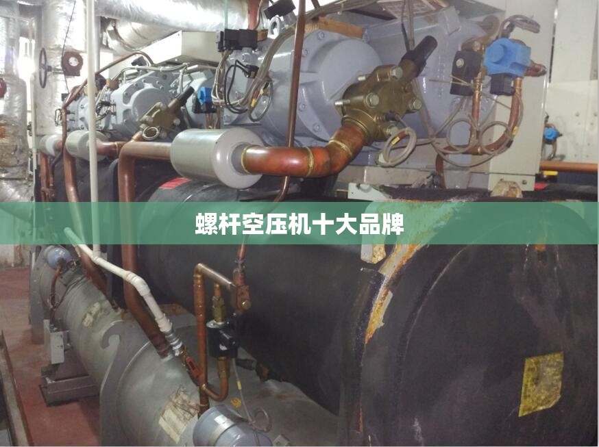 4s店为何不给保养手册？
