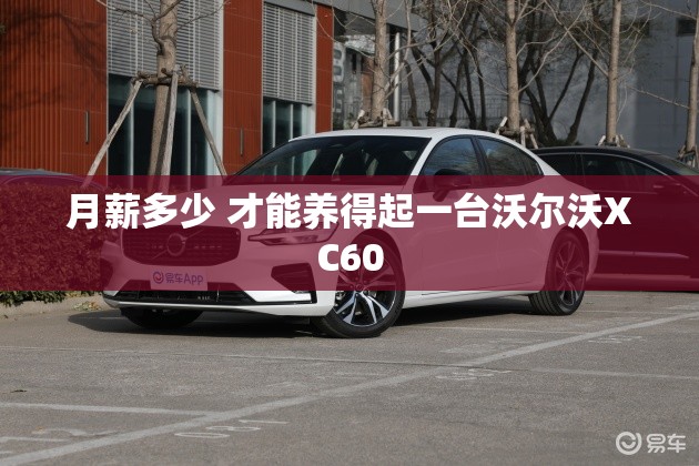 辉昂落地价最低多少-