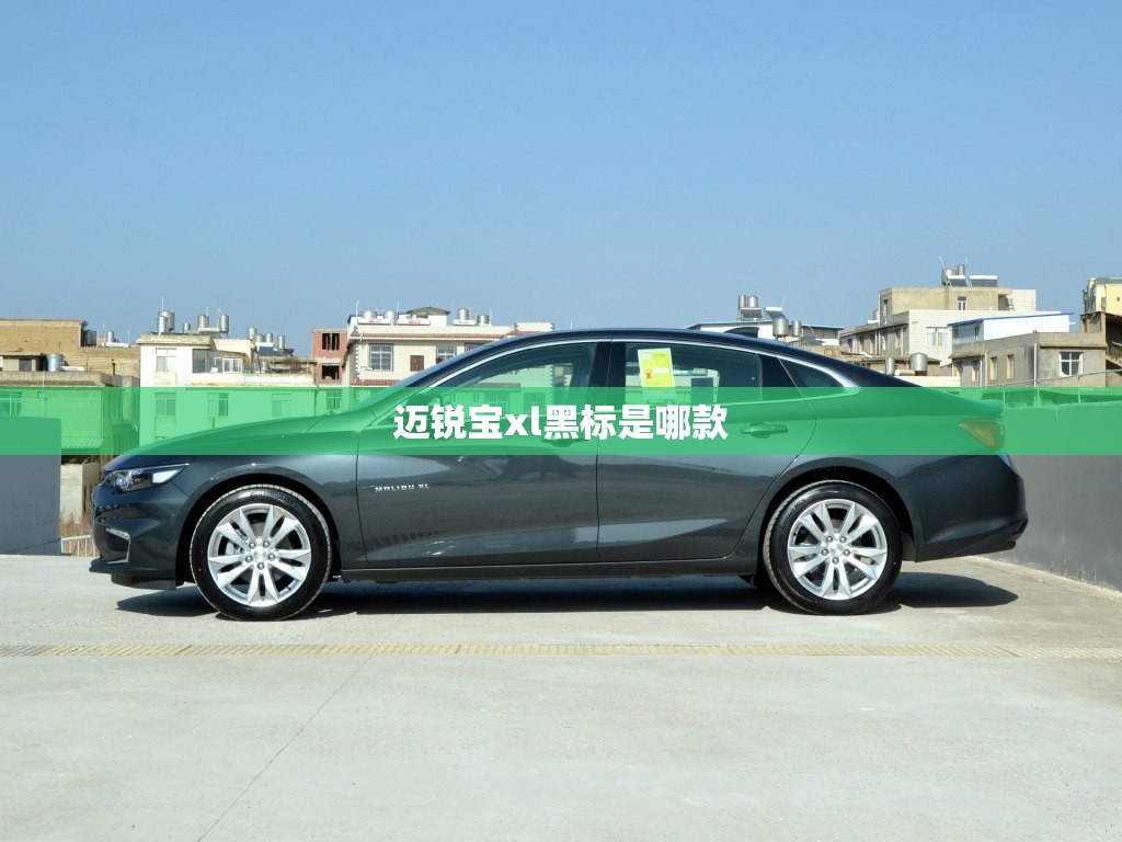 迈锐宝xl黑标是哪款