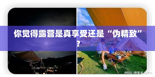 你觉得露营是真享受还是“伪精致”？