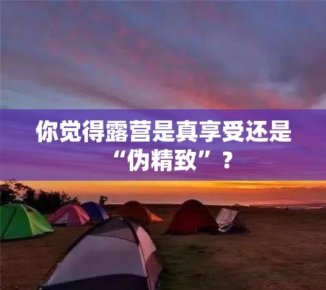 你觉得露营是真享受还是“伪精致	”？