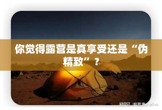 新速腾和新速派选哪个