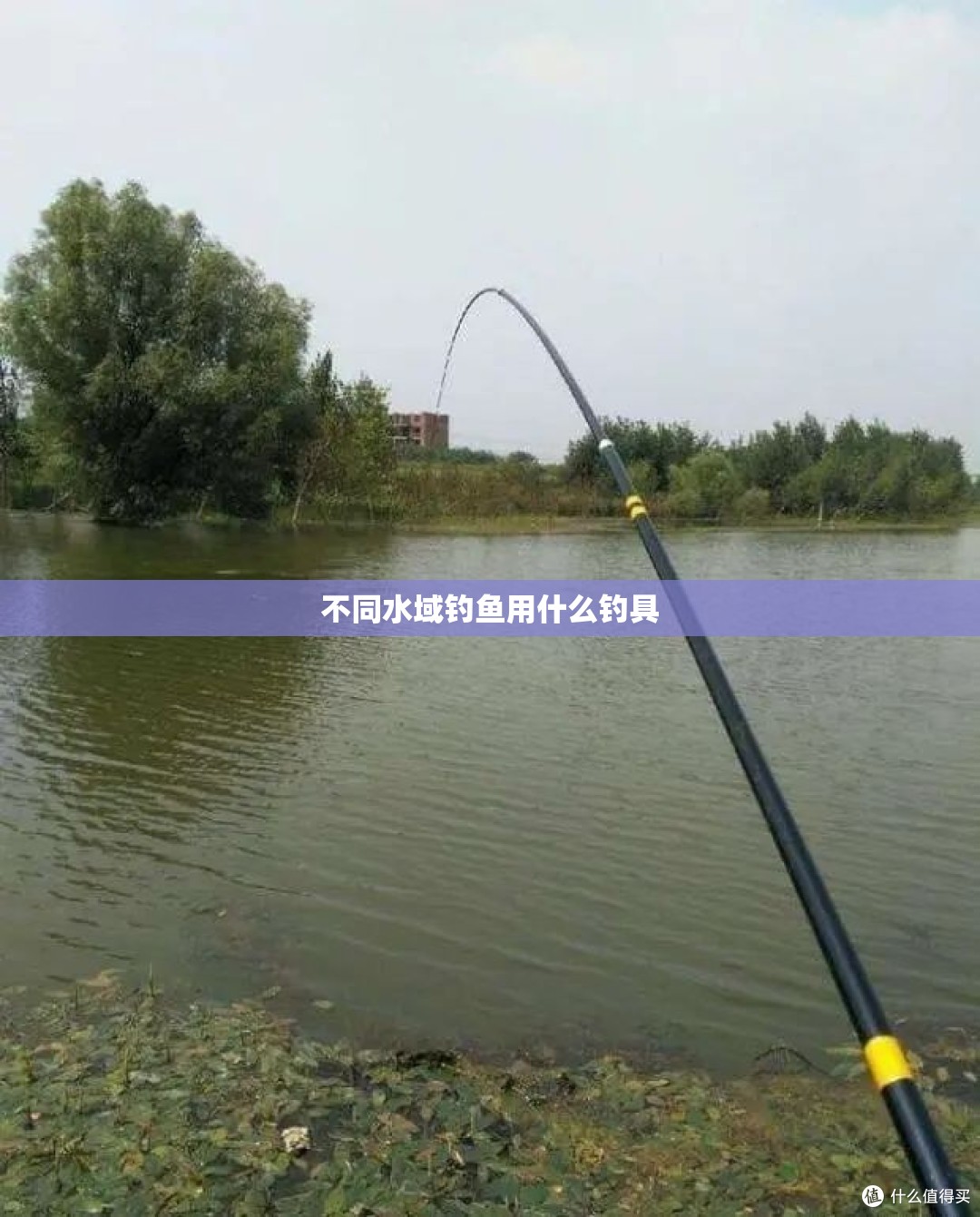 不同水域钓鱼用什么钓具 不同水域钓鱼用什么钓具