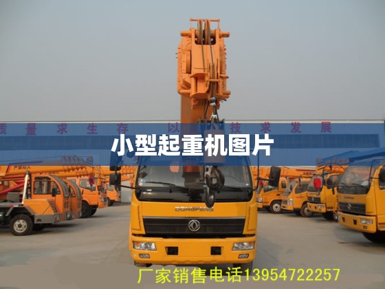 不同水域钓鱼用什么钓具