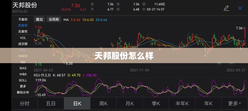 天邦股份怎么样(天邦股份如何) 天邦股份怎么样(天邦股份如何)