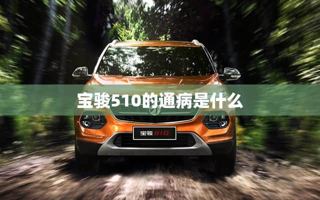 宝骏510的通病是什么(宝骏510最大的缺点通病)