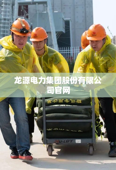 龙源电力集团股份有限公司官方网站(龙源电力工程有限公司)