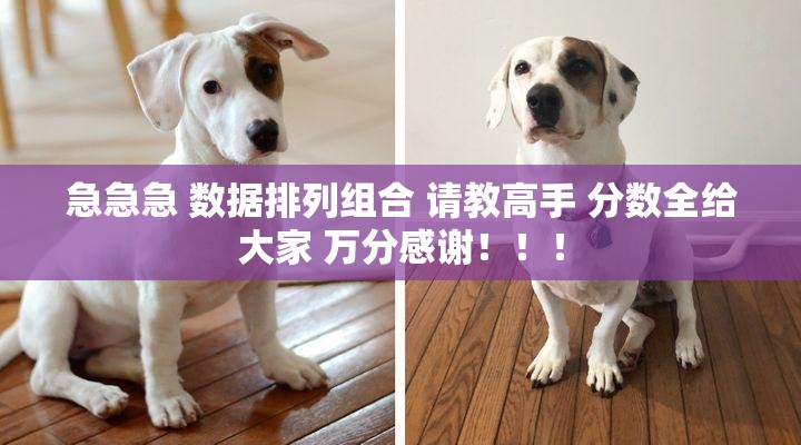 急急急 数据排列组合 请教高手 分数全给大家 万分感谢!!! 急急急 数据排列组合 请教高手 分数全给大家 万分感谢!!!