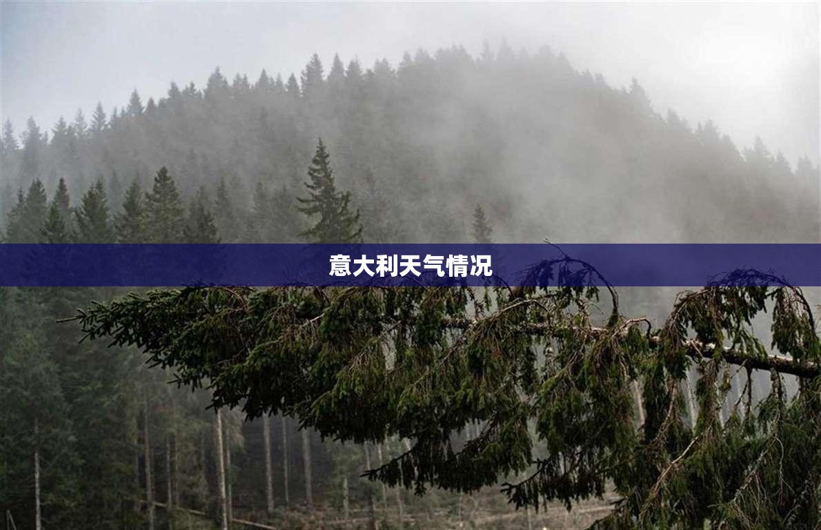 GLE为什么不用45轮胎