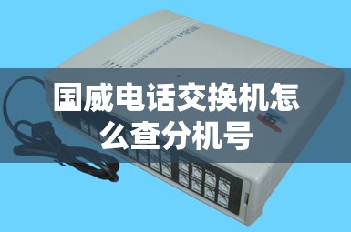 国威电话交换机怎么查分机号