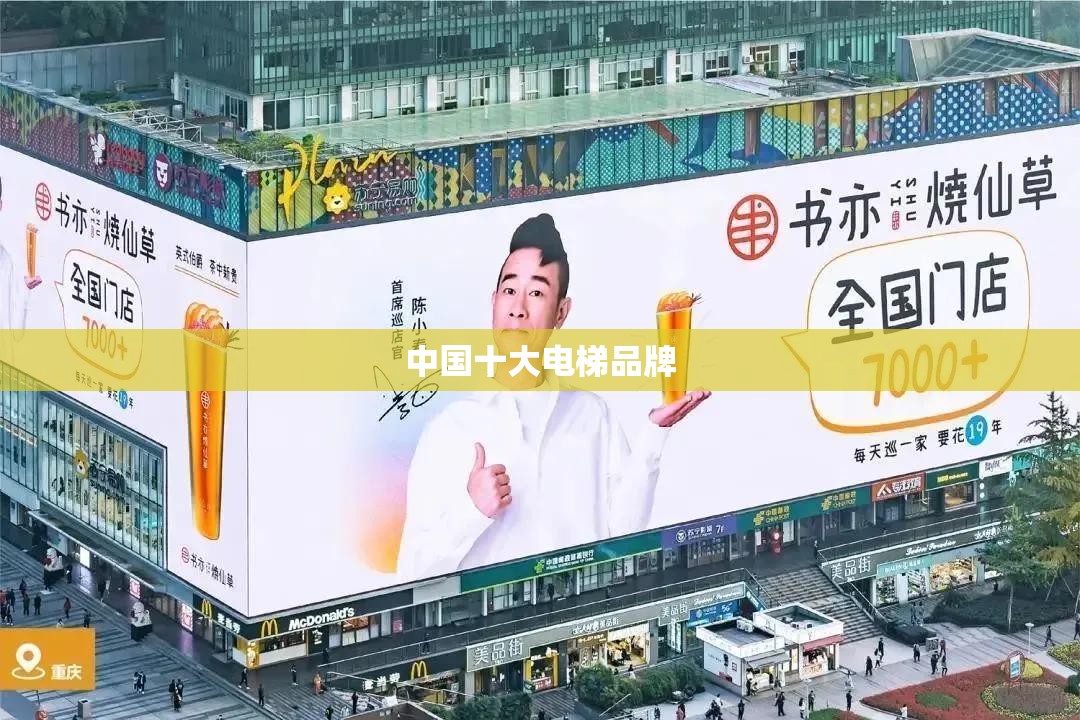 中国十大电梯品牌