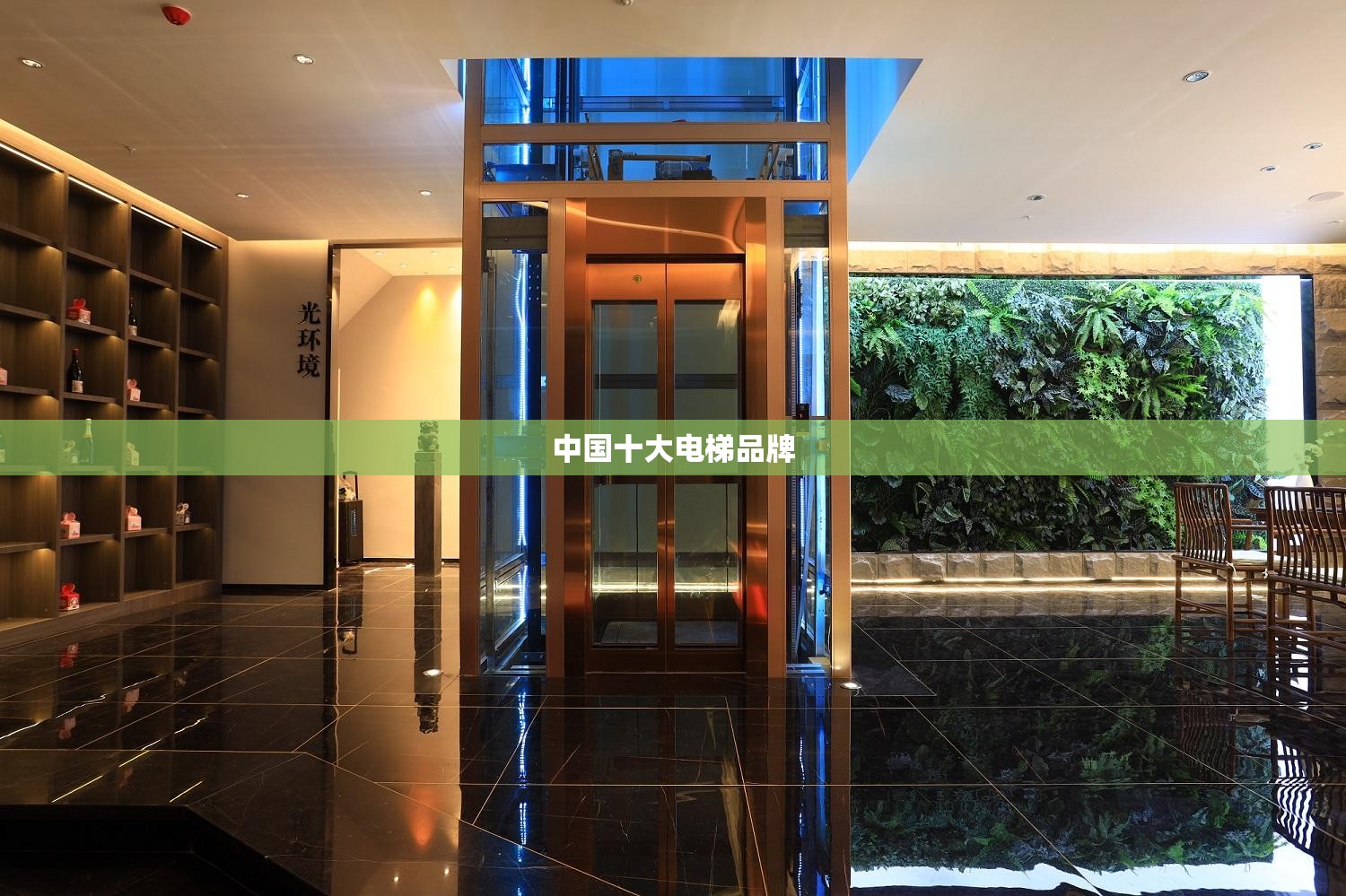 中国十大电梯品牌