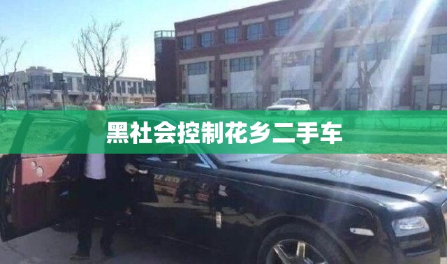 黑社会控制花乡二手车(花乡二手车坑人)