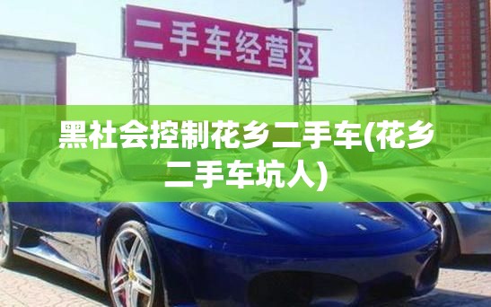 黑社会控制花乡二手车(花乡二手车坑人)