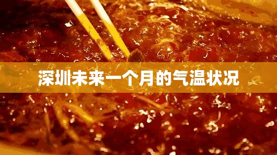 深圳未来一个月的气温状况
