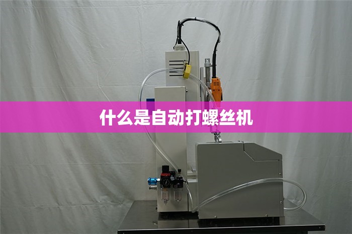 什么是自动打螺丝机 什么是自动打螺丝机