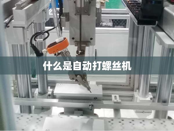 什么是自动打螺丝机 什么是自动打螺丝机