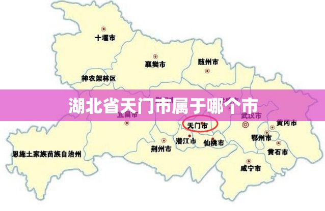 宾利欧陆能加95号油吗