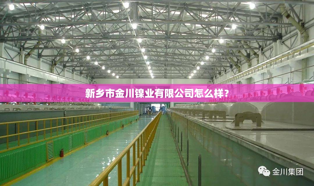 新乡市金川镍业有限公司怎么样？