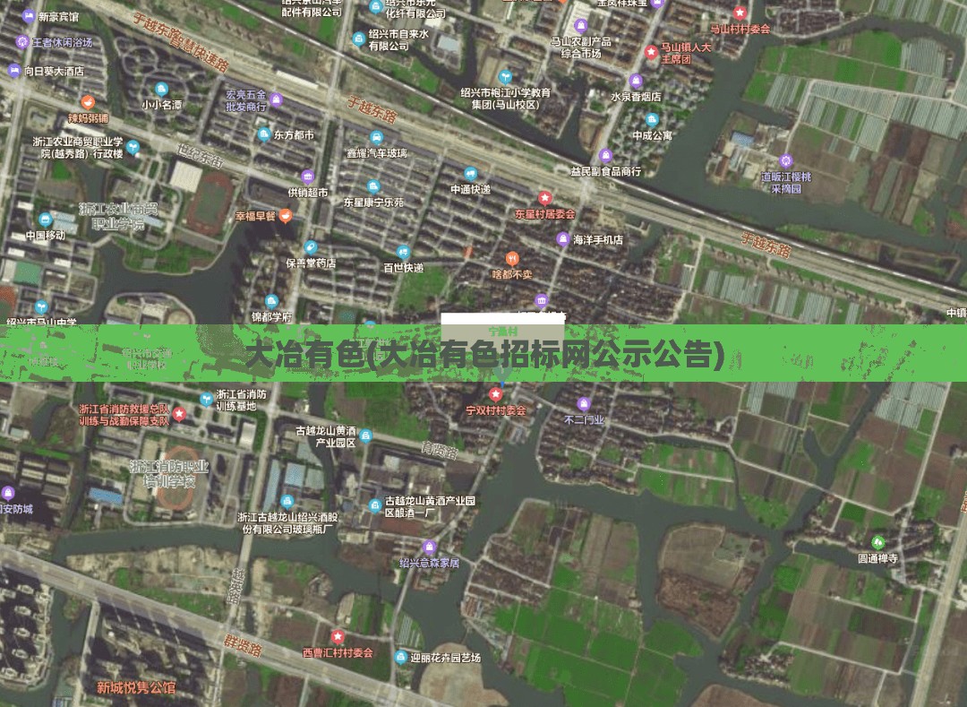 大冶有色(大冶有色招标网公示公告)