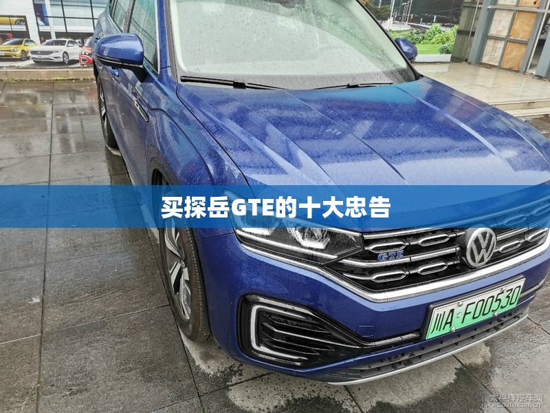 买探岳GTE的十大忠告