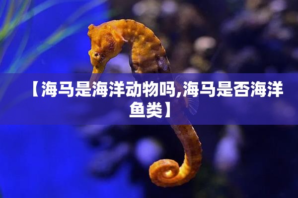 【离合器是什么作用,离合器有什么功用?需满足什么要求?】