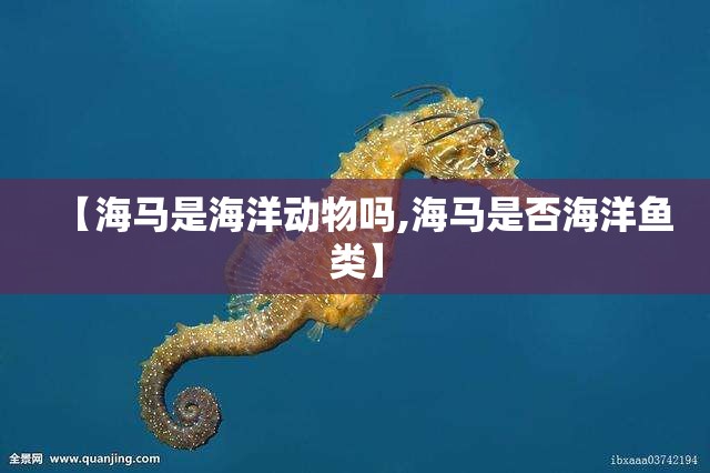 【海马是海洋动物吗,海马是否海洋鱼类】 【海马是海洋动物吗,海马是否海洋鱼类】