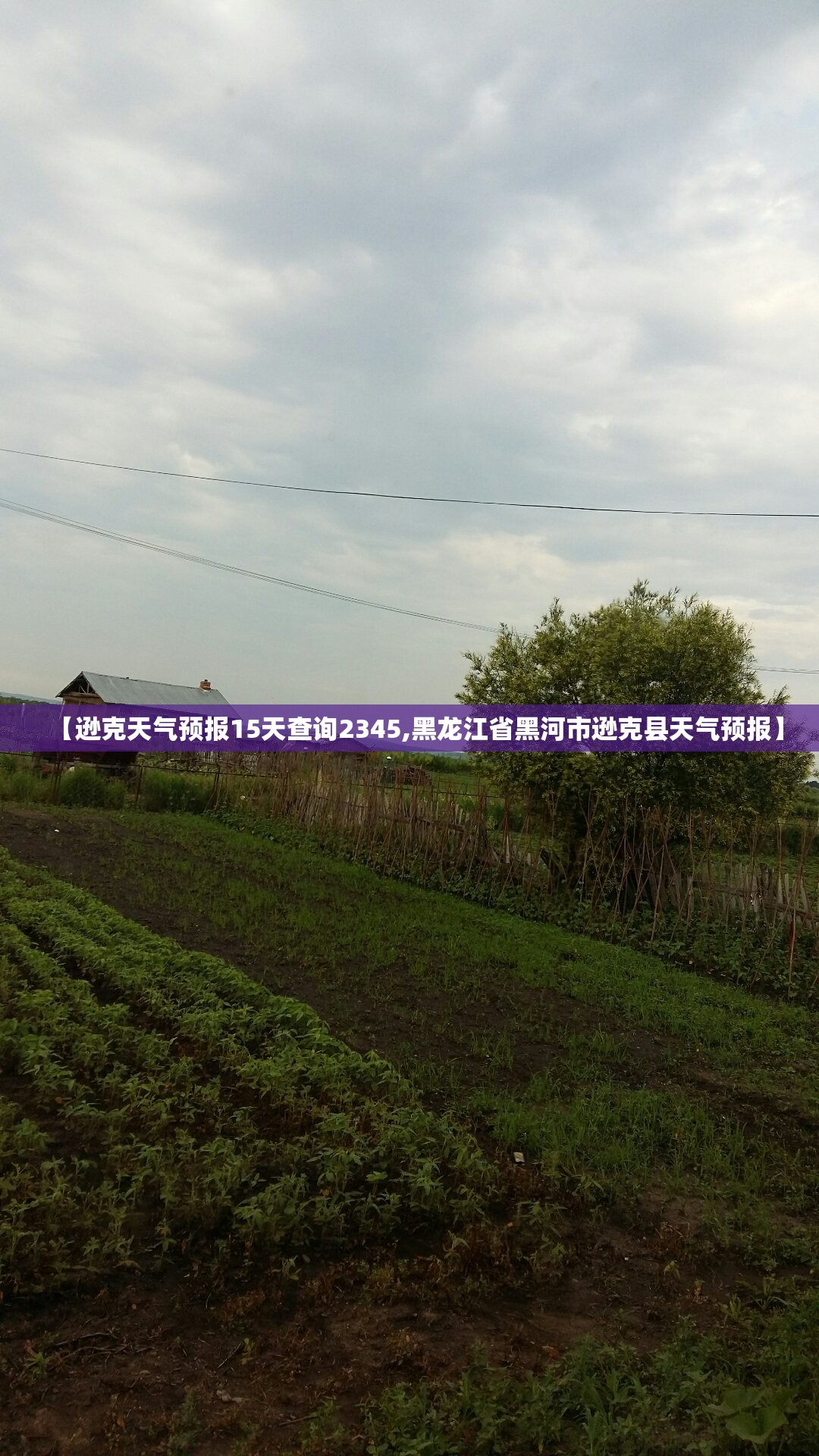 Y32四柱液压机和Y27薄板液压拉伸机具体有什么区别？
