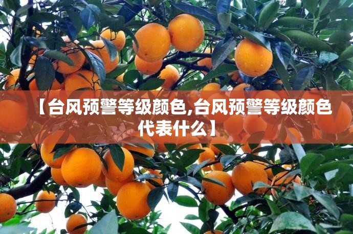 【台风预警等级颜色,台风预警等级颜色代表什么】