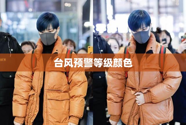 【海马是海洋动物吗,海马是否海洋鱼类】