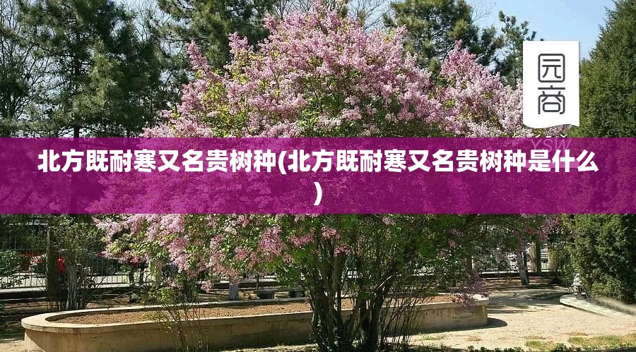 照明换气二合一哪个品牌好