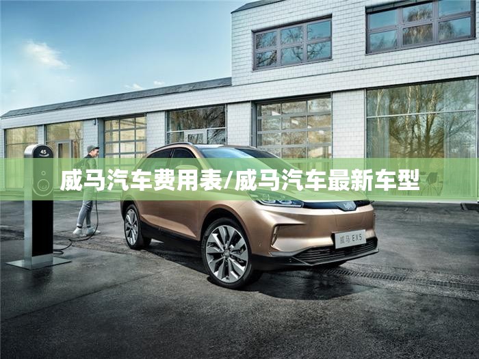 威马汽车费用表/威马汽车最新车型 威马汽车费用表/威马汽车最新车型
