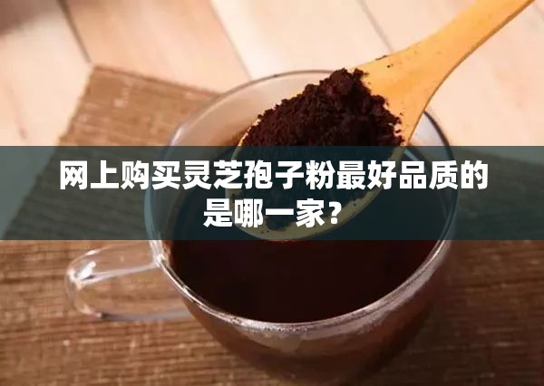 力帆摩托车110车型/力帆摩托车lf100