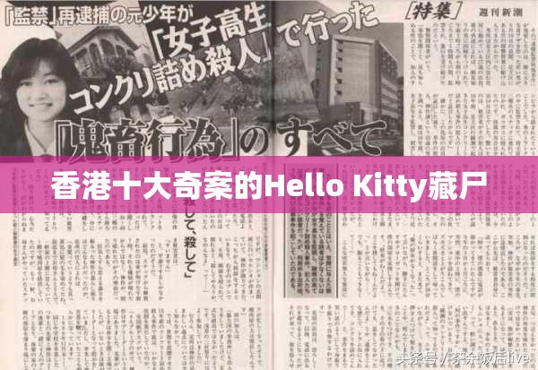 香港十大奇案的Hello Kitty藏尸 香港十大奇案的Hello Kitty藏尸