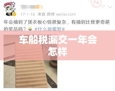 车船税漏交一年会怎样/车船税漏交一年会怎样呢