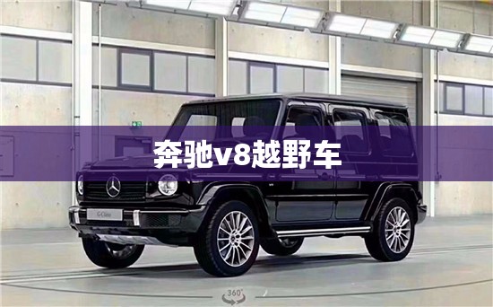奔驰v8越野车