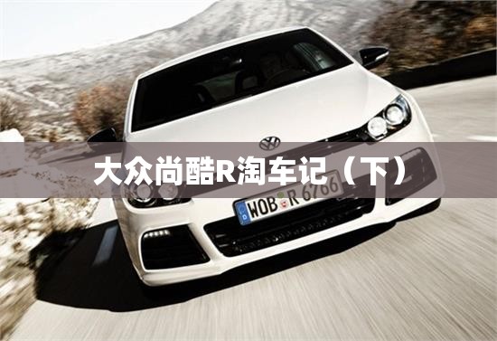 大众尚酷R淘车记（下）